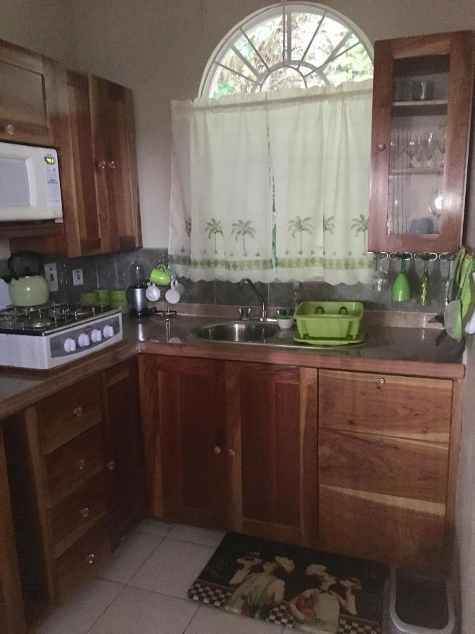 #D1 Castle Studio Wifi King Bed Ocho Rios Jamaica Extérieur photo