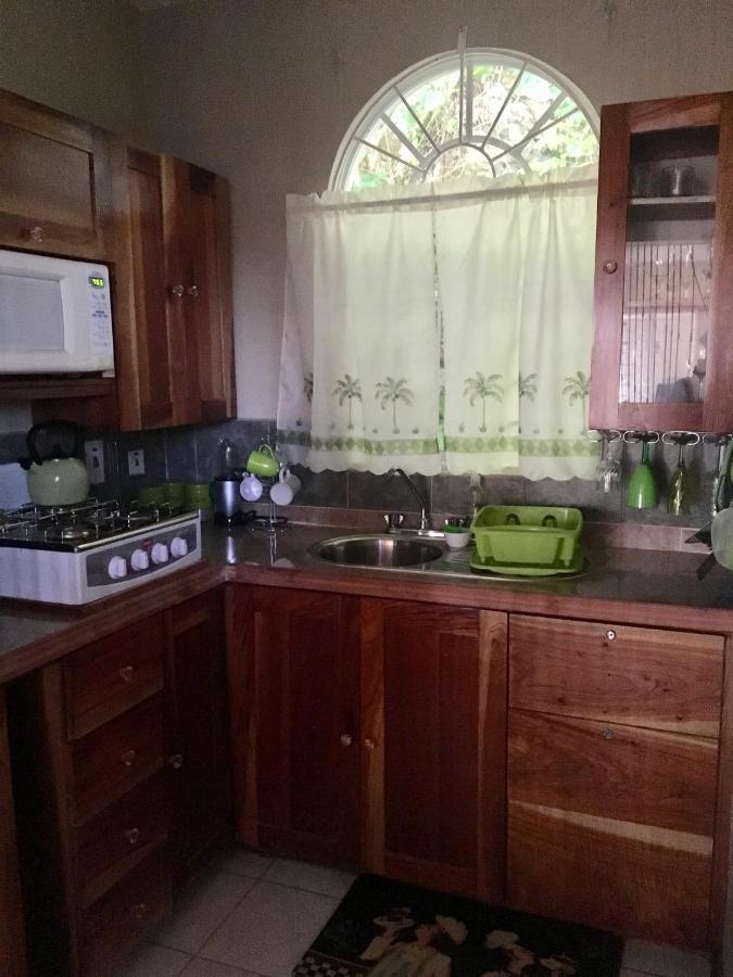 #D1 Castle Studio Wifi King Bed Ocho Rios Jamaica Extérieur photo