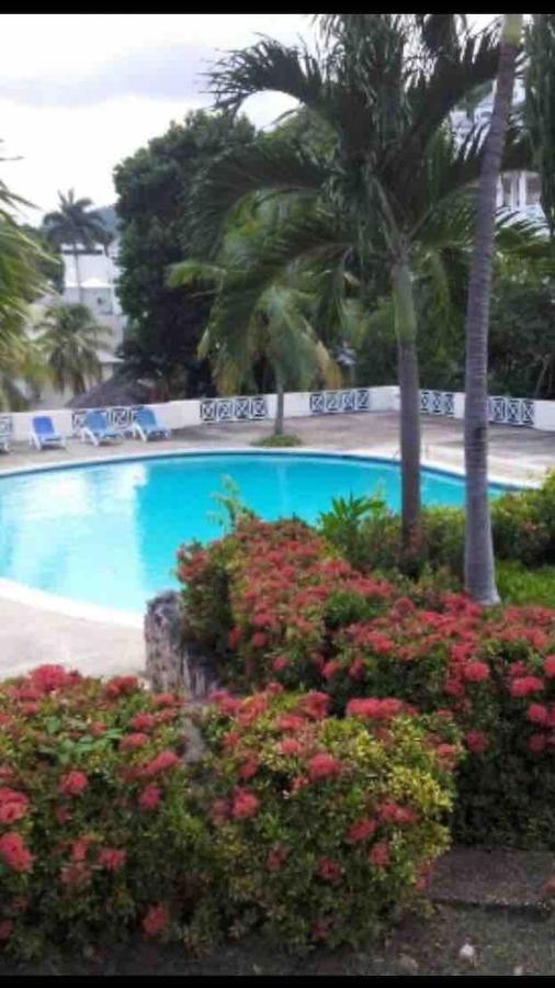 #D1 Castle Studio Wifi King Bed Ocho Rios Jamaica Extérieur photo