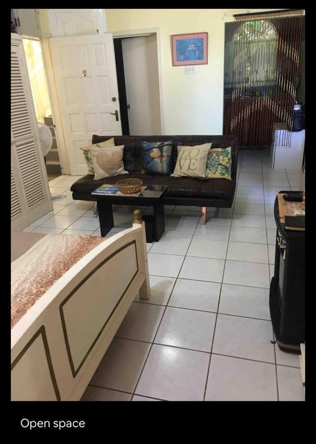 #D1 Castle Studio Wifi King Bed Ocho Rios Jamaica Extérieur photo